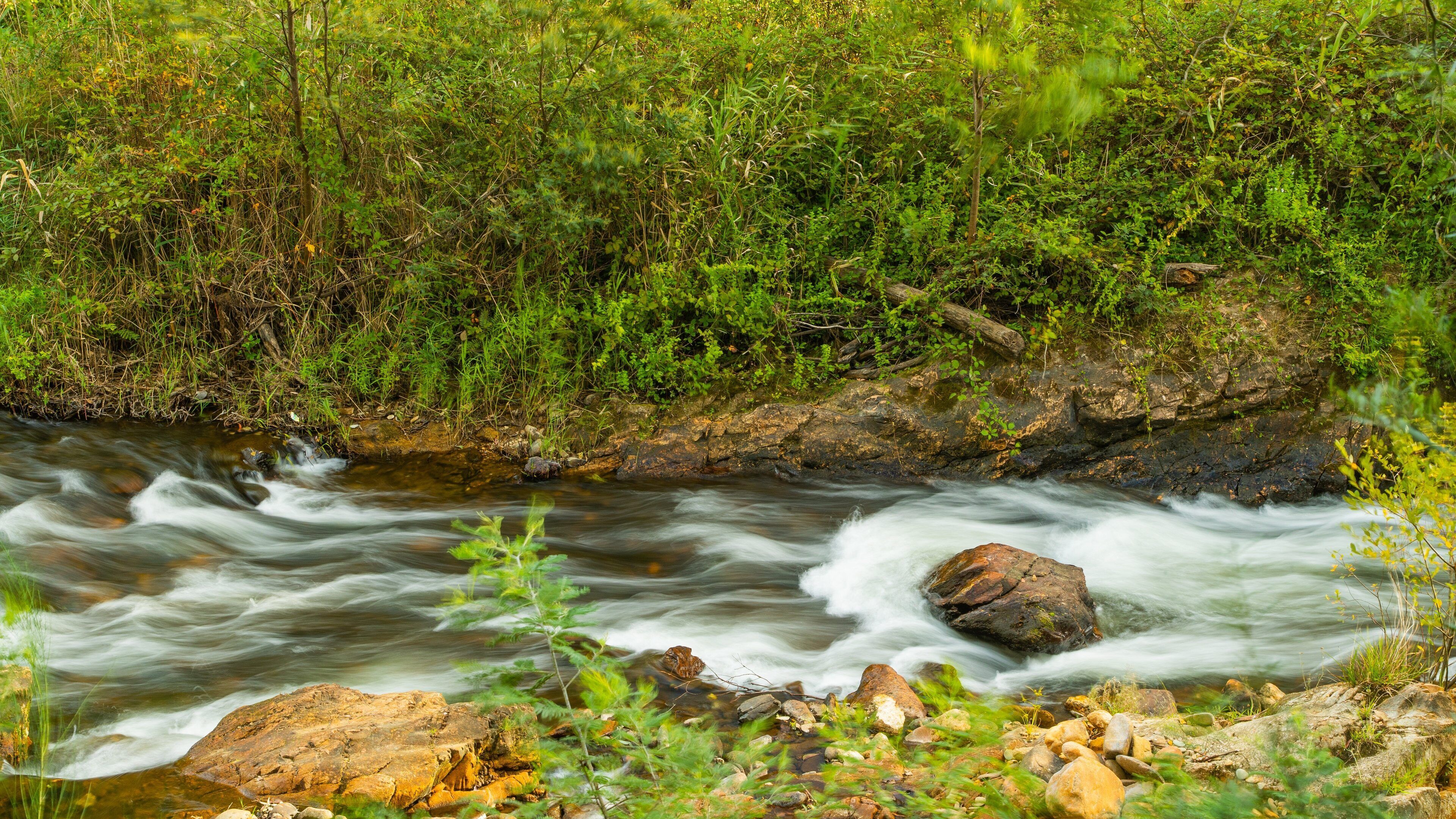 Ovens River J15 Streamside Reserve featuring a river or creek