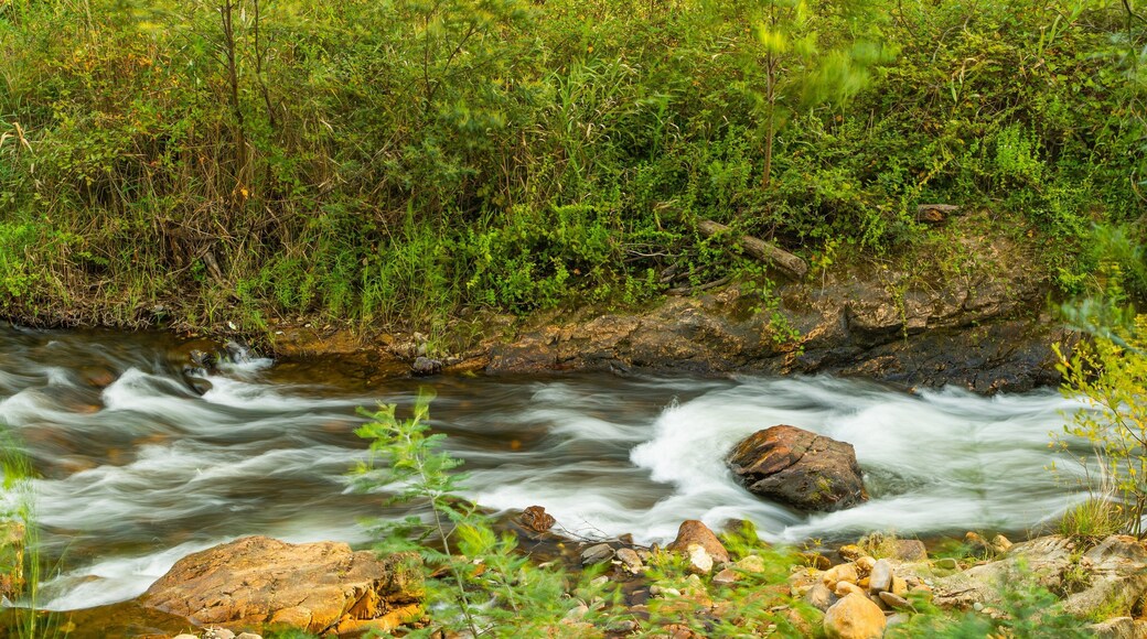 Ovens River J15 Streamside Reserve featuring a river or creek