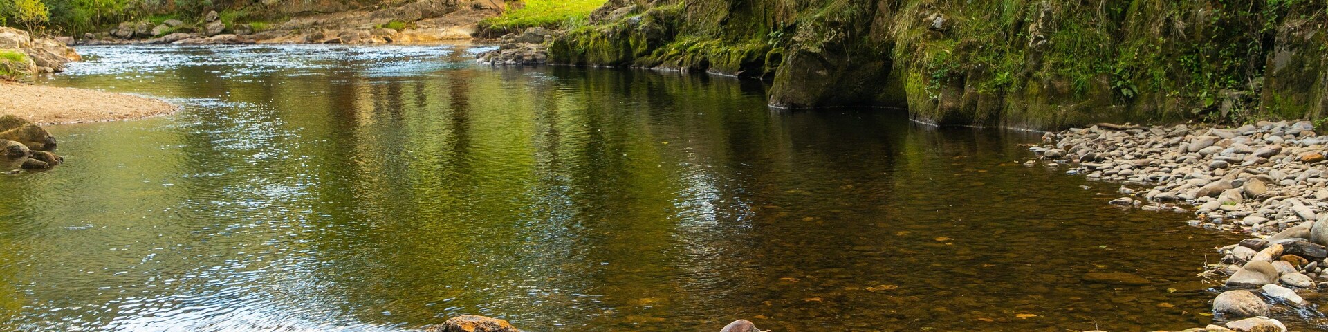 Ovens River J15 Streamside Reserve showing a river or creek