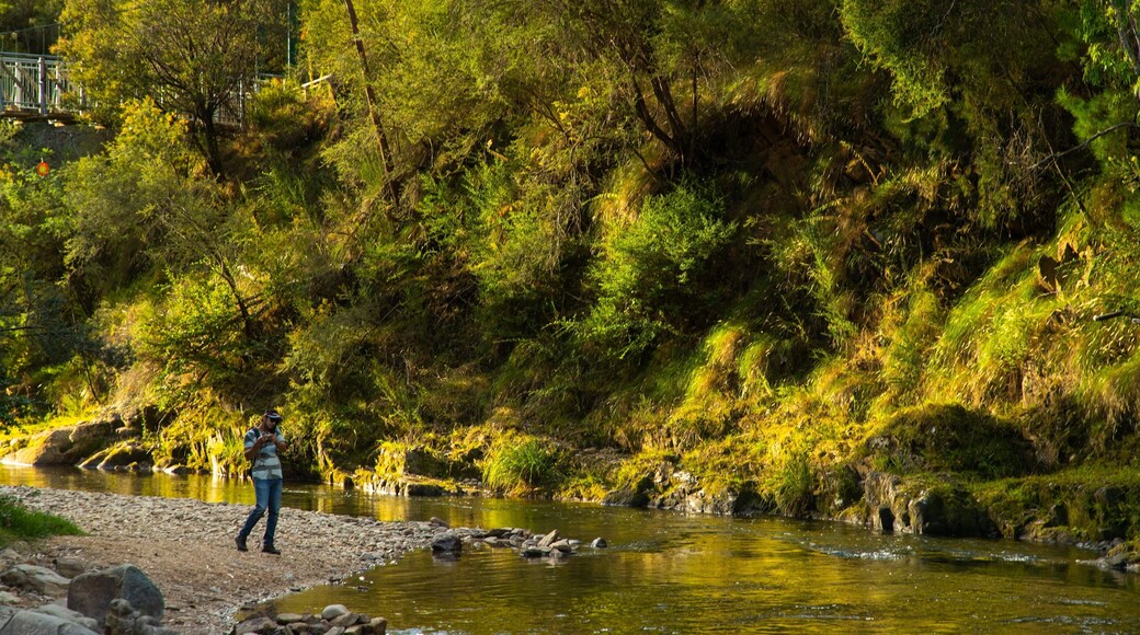 Bright featuring a river or creek as well as an individual male