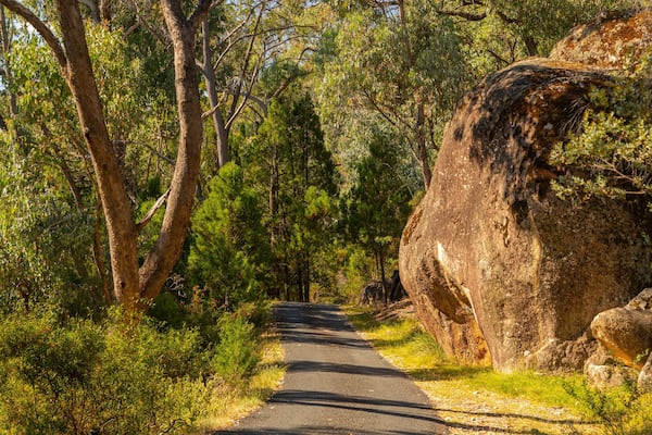 Beechworth Historic Park featuring forests and tranquil scenes