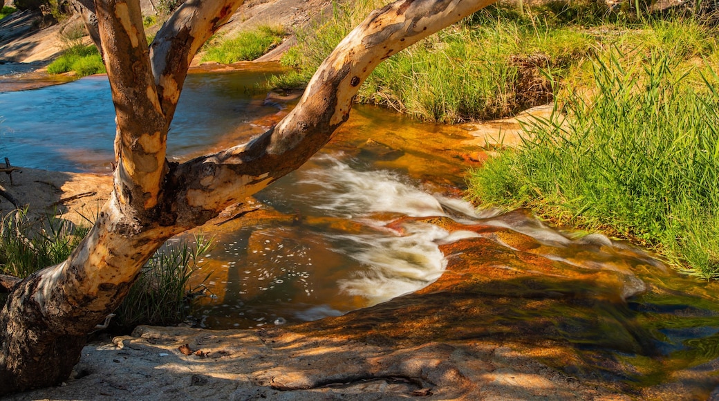 Beechworth Historic Park featuring a river or creek