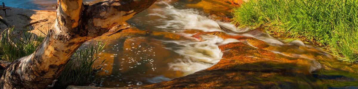 Beechworth Historic Park featuring a river or creek