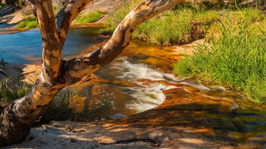 Beechworth Historic Park featuring a river or creek