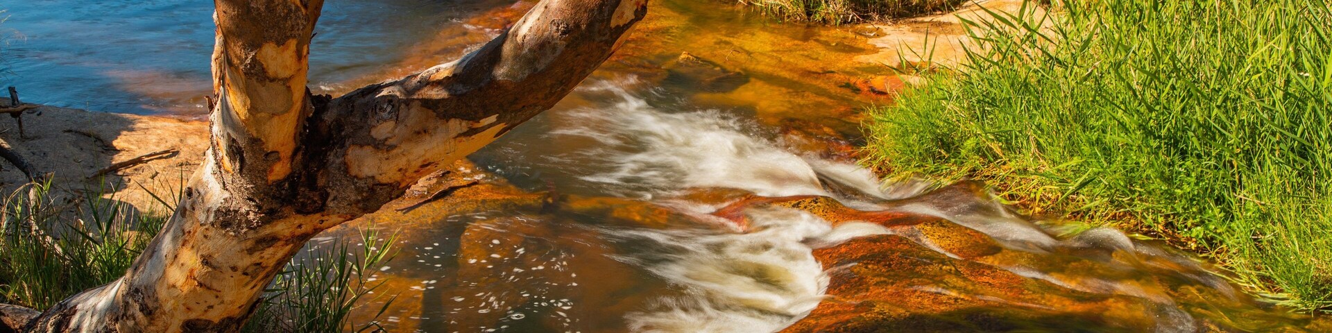 Beechworth Historic Park featuring a river or creek