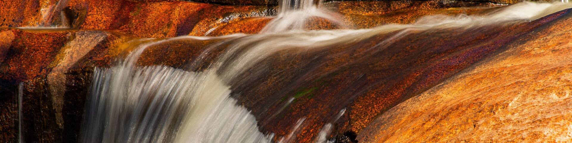 Beechworth Historic Park showing a river or creek