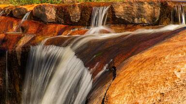 Beechworth Historic Park showing a river or creek