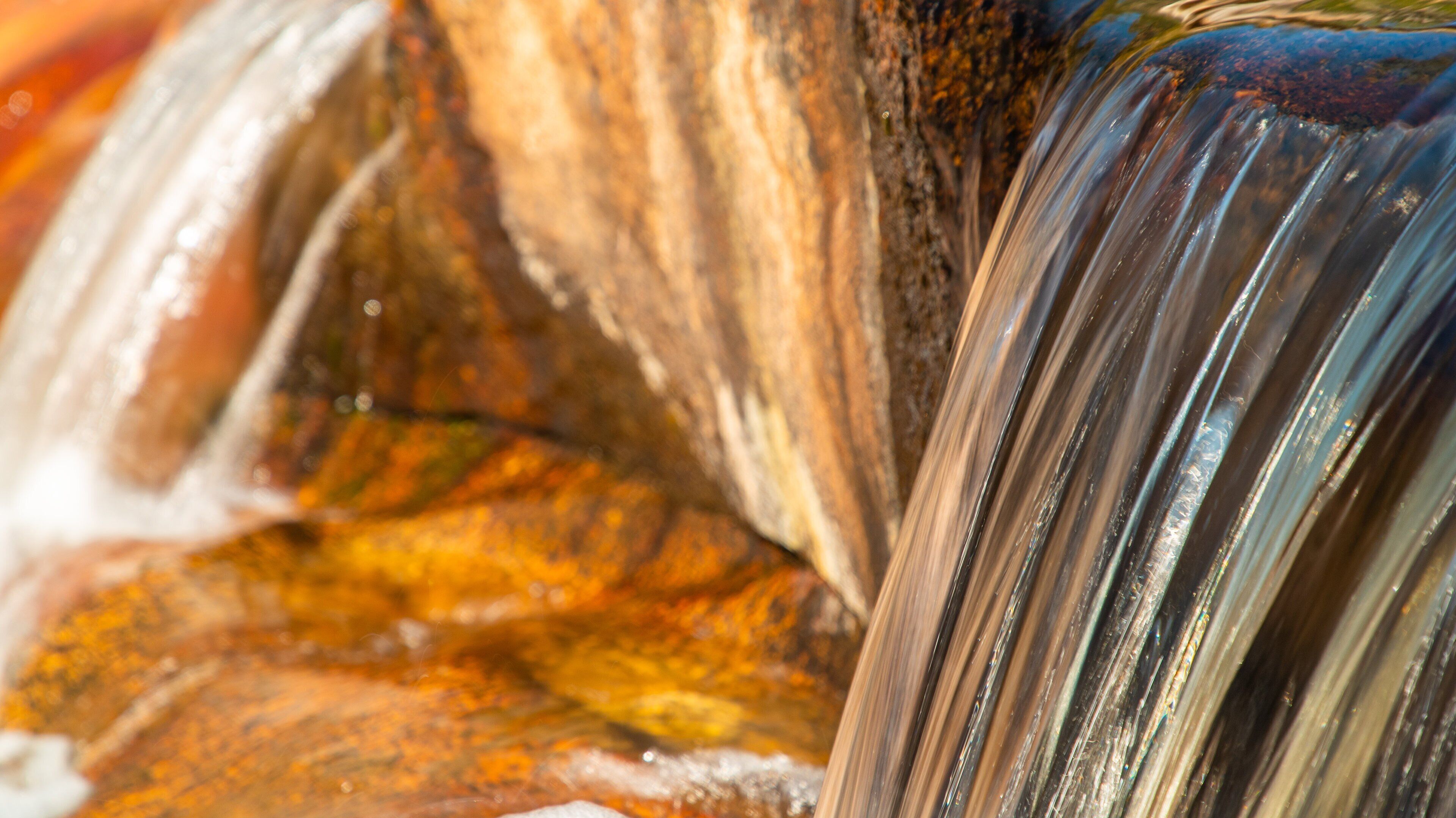 Beechworth Historic Park featuring a river or creek