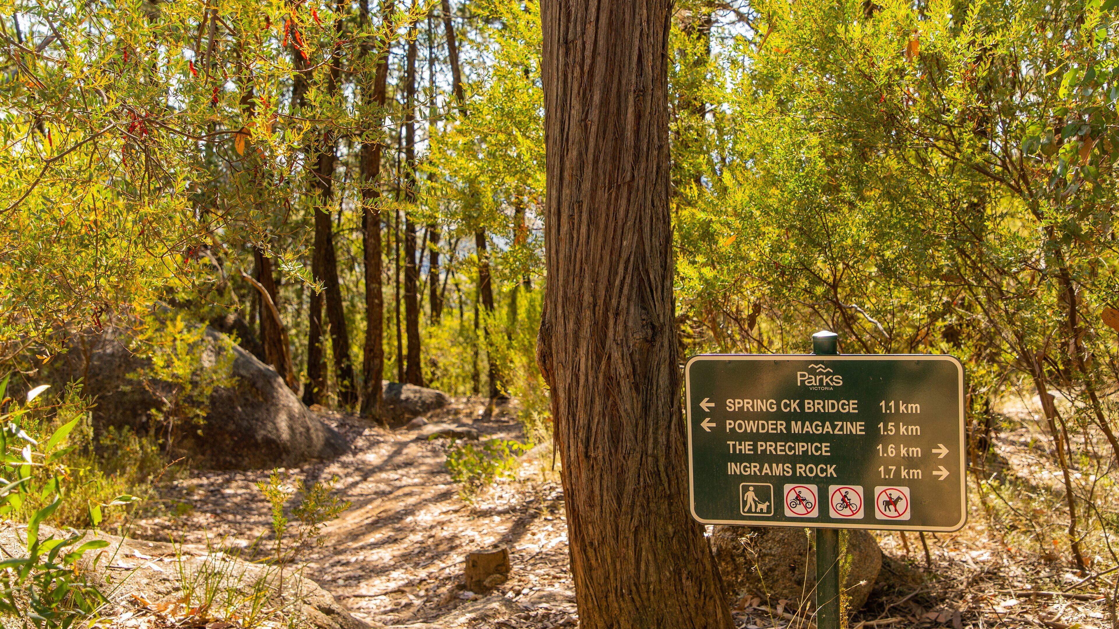 Beechworth Historic Park featuring signage and forests