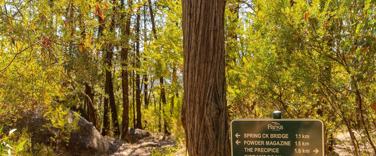 Beechworth Historic Park featuring signage and forests