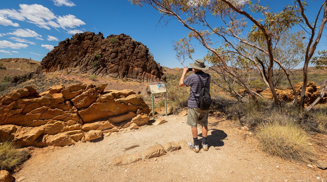 Corroboree Rock Conservation Reserve which includes a gorge or canyon and desert views as well as an individual male