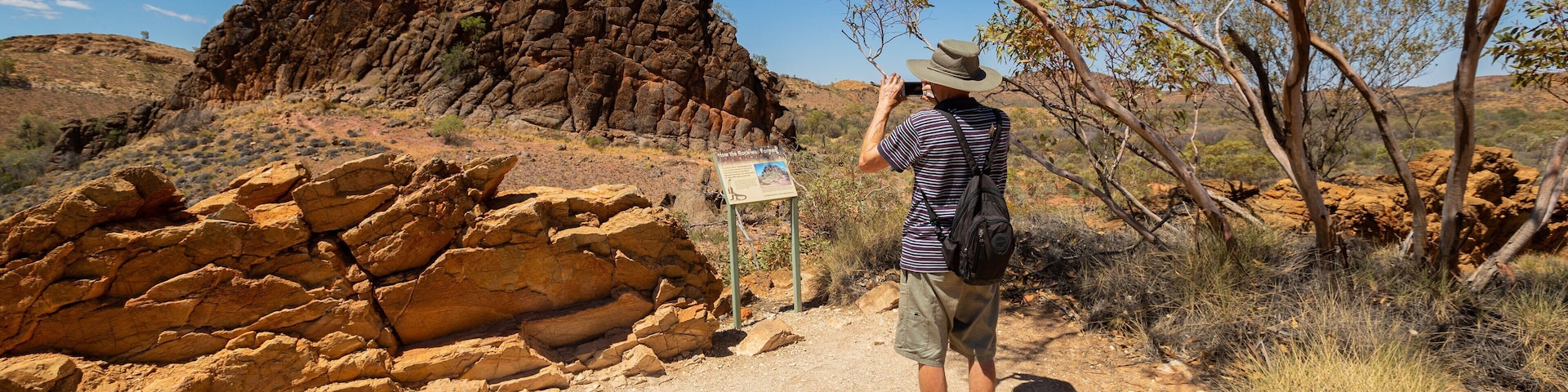 Corroboree Rock Conservation Reserve which includes a gorge or canyon and desert views as well as an individual male