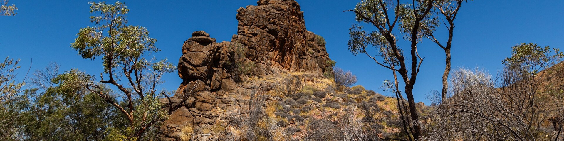 Corroboree Rock Conservation Reserve which includes a gorge or canyon and desert views