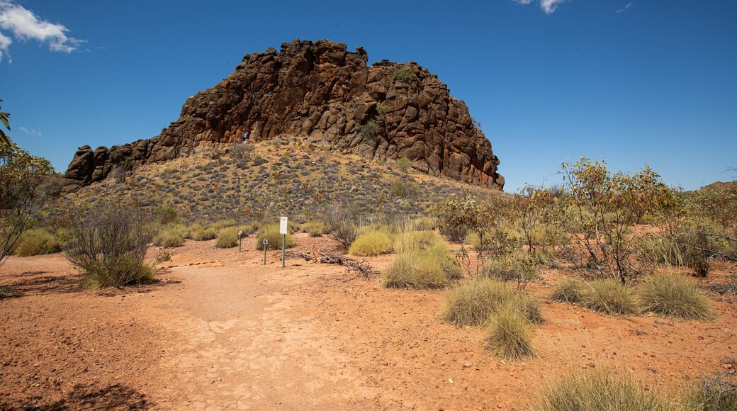 Corroboree Rock Conservation Reserve showing a gorge or canyon and desert views