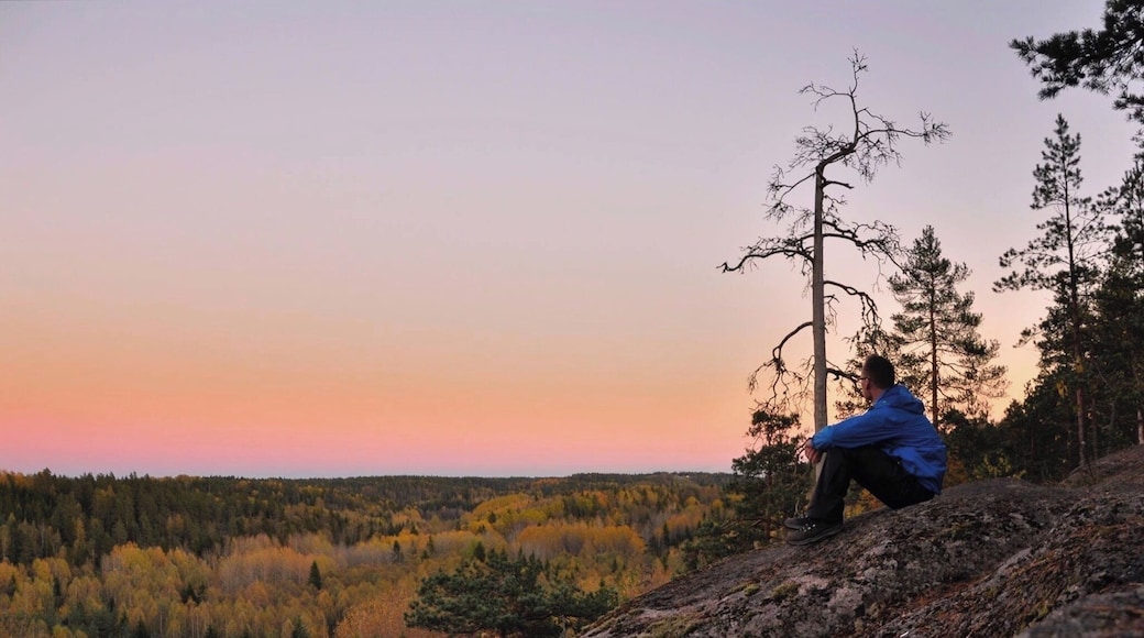 One of the many trails in Nuuksio National park. Great place to enjoy the outdoors and get away from city life