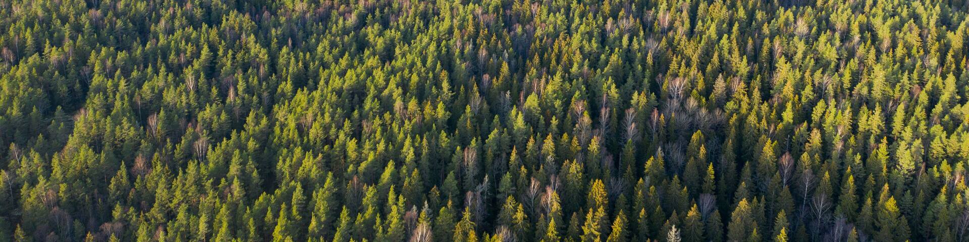 Aerial view of Nuuksio National park, Espoo and Vihti, Finland