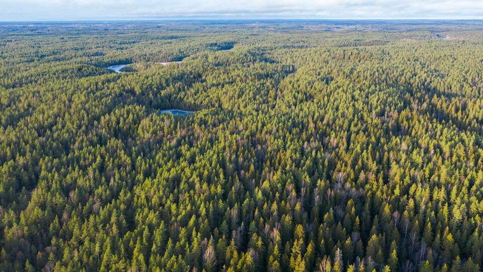 Aerial view of Nuuksio National park, Espoo and Vihti, Finland