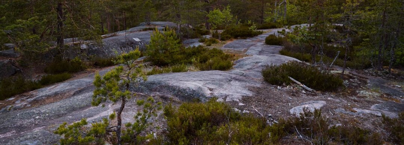 "Magic sunset in Nuuksio"