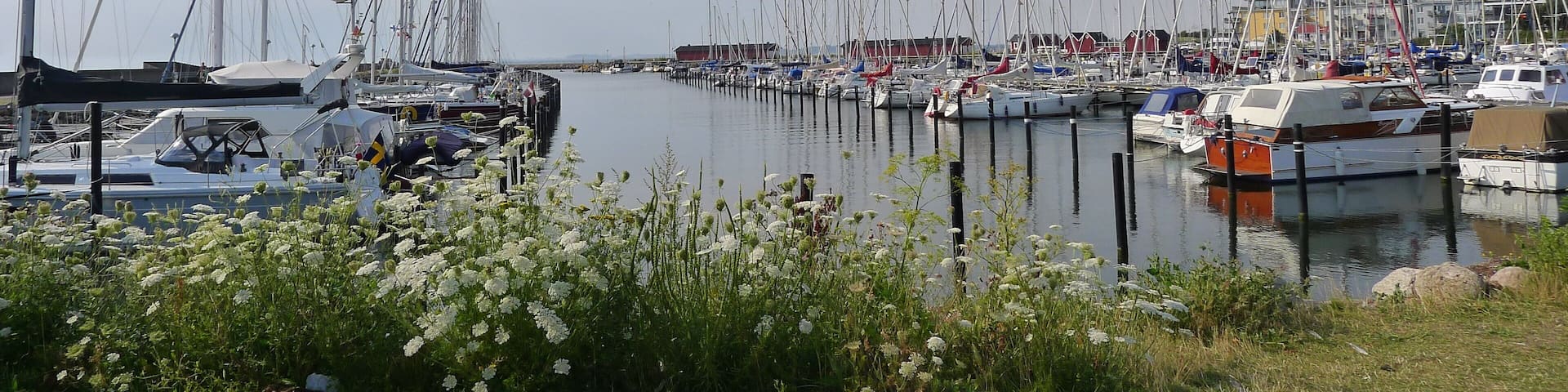 0_0b3101e7-8206-48f7-82ef-7cb41ef4bb96_raw