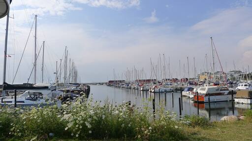 0_0b3101e7-8206-48f7-82ef-7cb41ef4bb96_raw