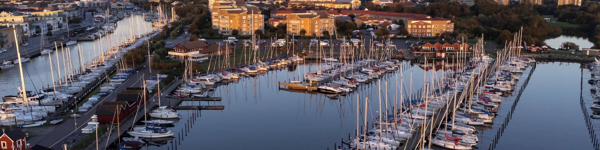 A marina with numerous boats docked, surrounded by buildings and trees.