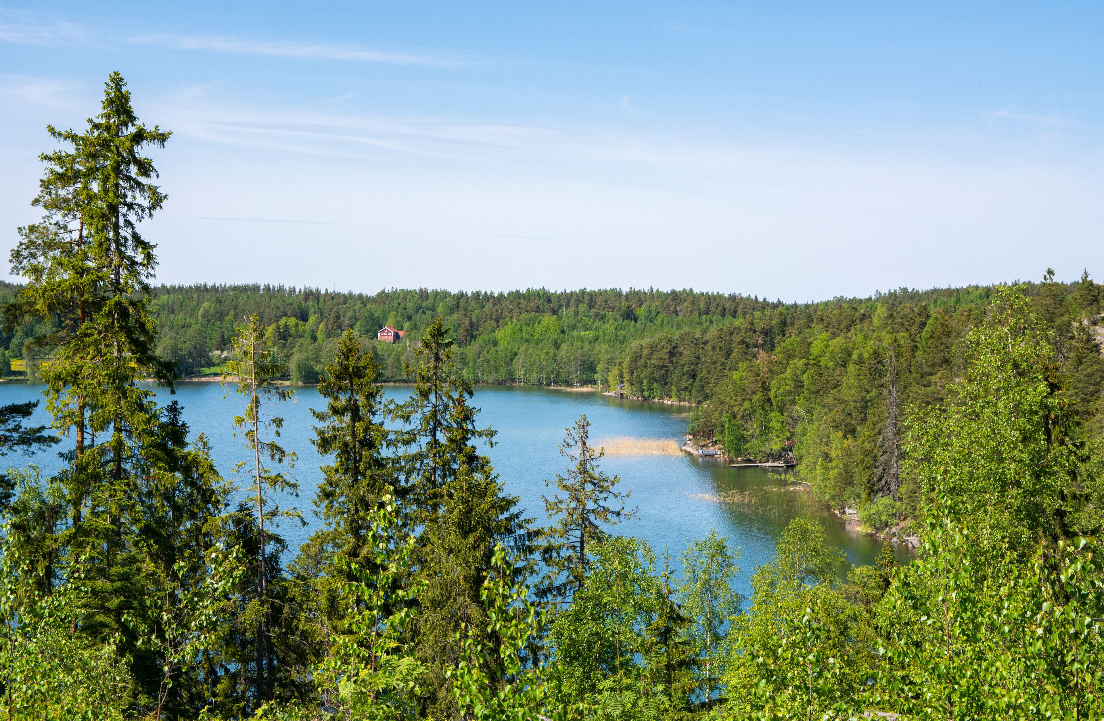 View to the forest and Lake Vittrask in spring, Kirkkonummi, Finland