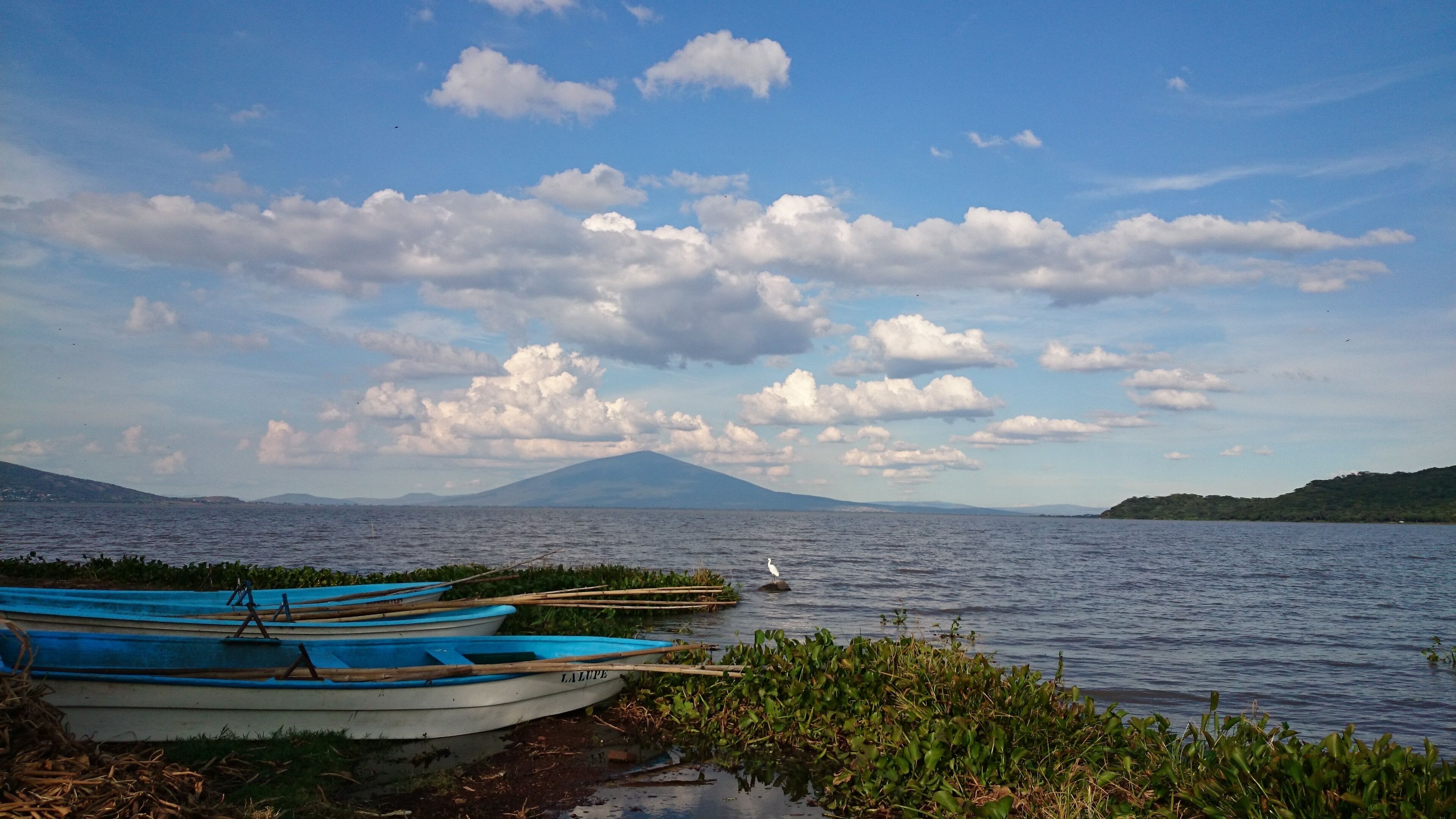 A lake with boats, a swan, and a mountain in the background.