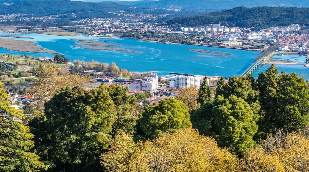 Viana do Castelo Distrikt