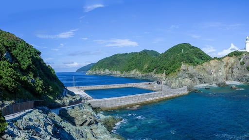 ๋ฏธ์ฌํค์ 