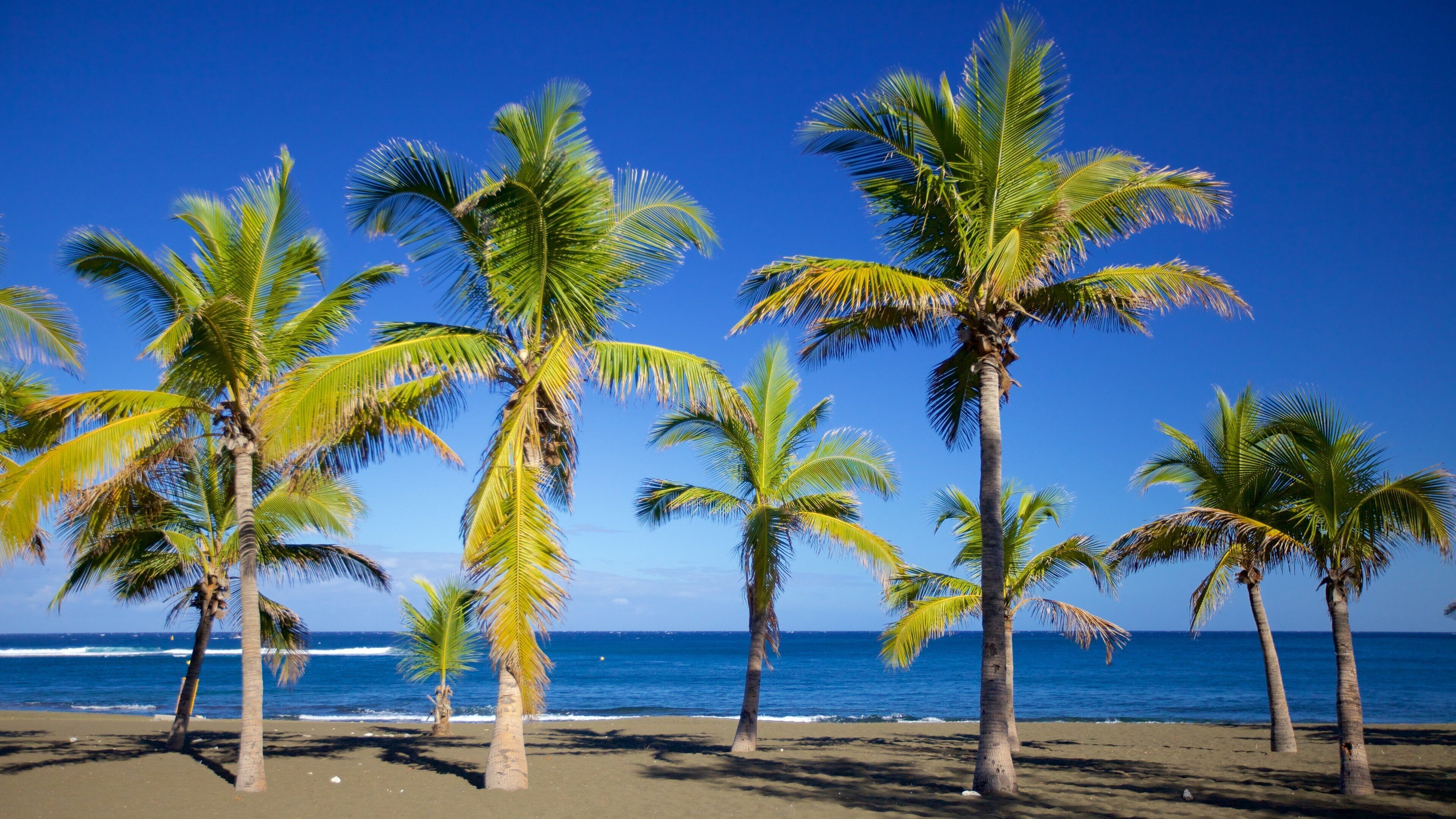 l\'Etang-Sale les Bains showing a sandy beach