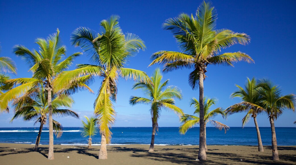 l\'Etang-Sale les Bains showing a sandy beach