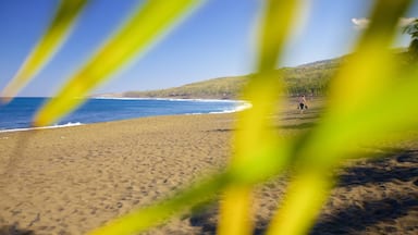 L\'Etang Salé les Bains mostrando uma praia de areia