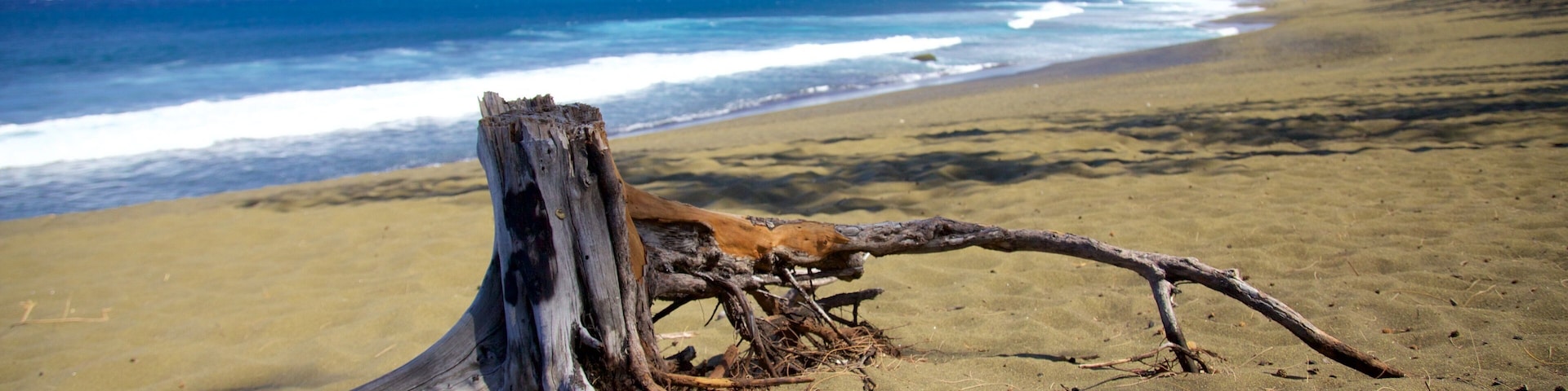 Una playa con un tronco de árbol caído y olas del océano.