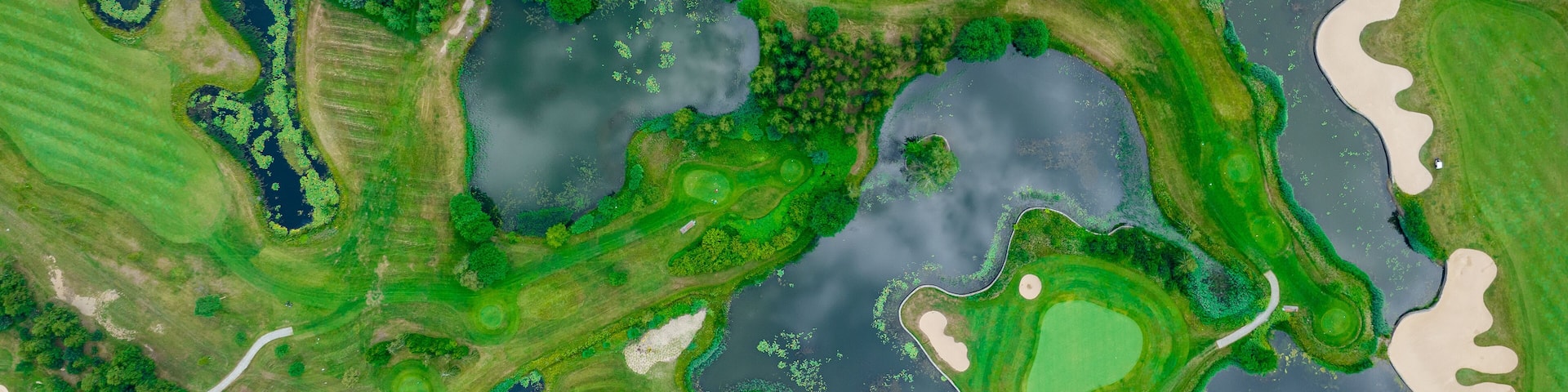 Golf Field Background. Aerial view of green grass and trees on a golf field. Golf course beautiful nature landscape.