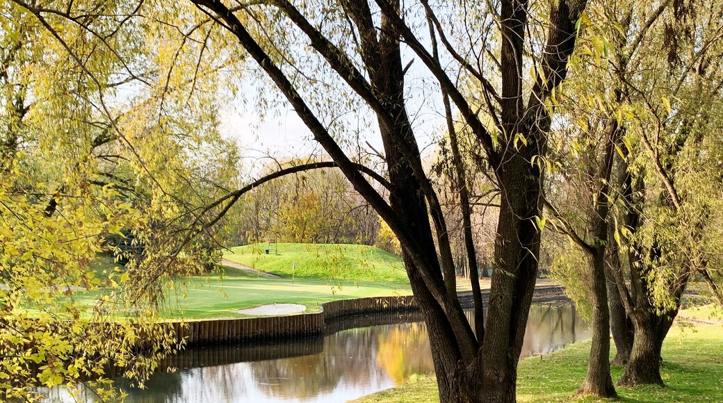 里弗福尔斯高尔夫球场