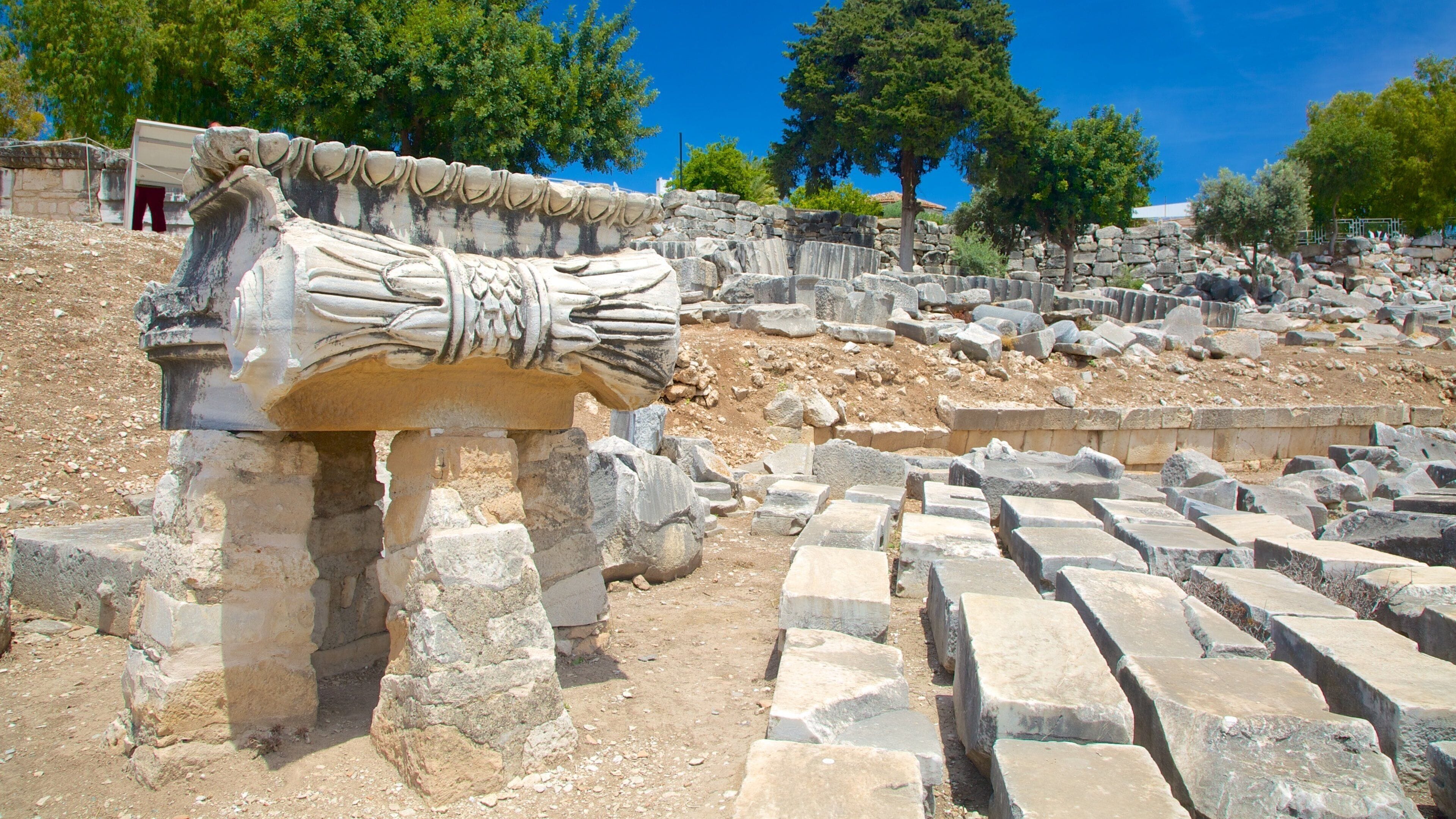 Temple of Apollo and Athena featuring a ruin