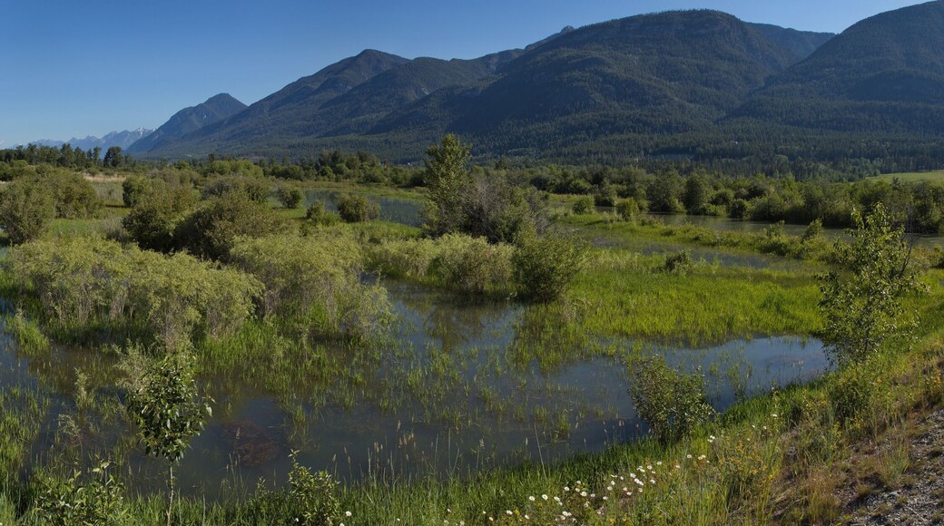 Columbia River at Brisco in British Columbia,Canada,North America