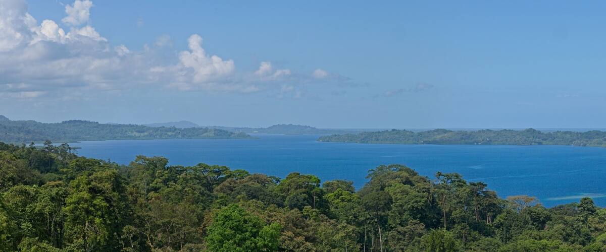 A coastal landscape with dense forest, a large body of water, and several small islands.