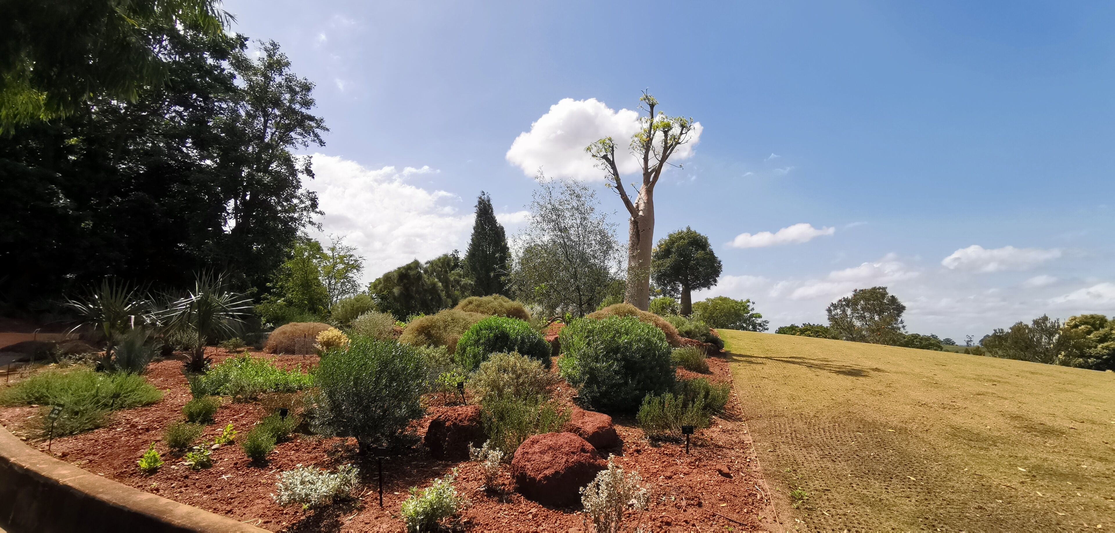 Australian Botanical Garden, Campbelltown, NSW, Australia