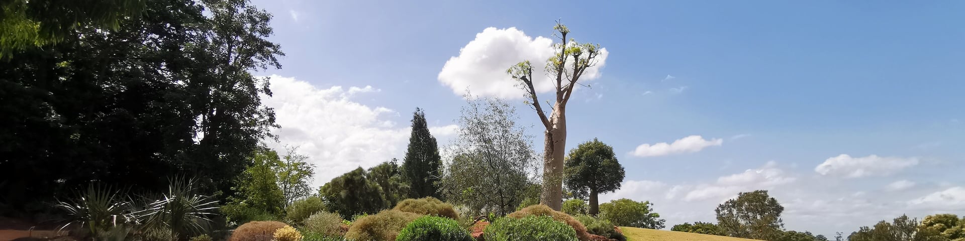 Australian Botanical Garden, Campbelltown, NSW, Australia