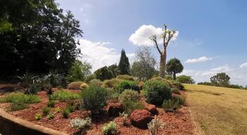 Australian Botanical Garden, Campbelltown, NSW, Australia