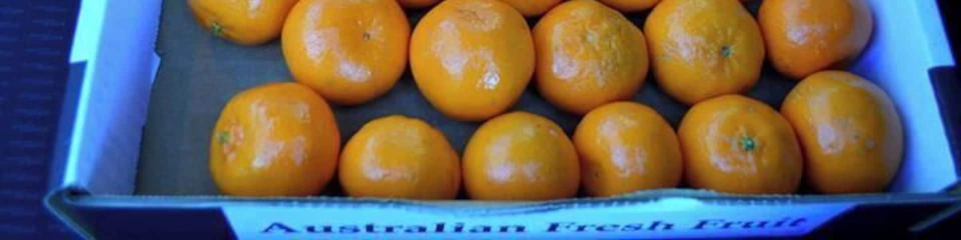 Fresh, sweet baby mandarins (4 already missing) - At the Rest stop just past Campbelltown on the Hume Highway.
Recommend their strawberries and pink lady apples as well - Our kids ate the 3 punnet's of strawberries for morning tea.