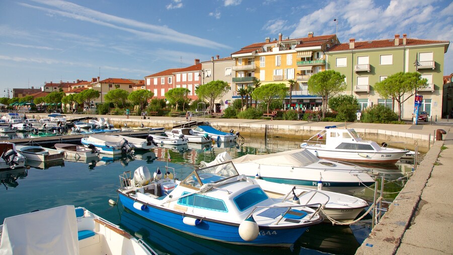 Izola