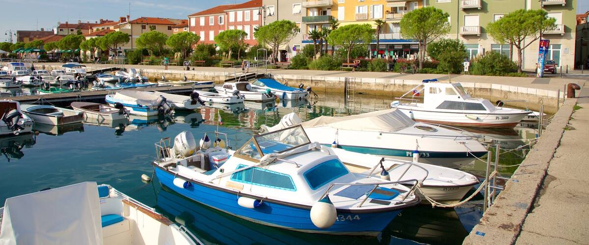 A marina with various boats docked, surrounded by colorful buildings and trees.