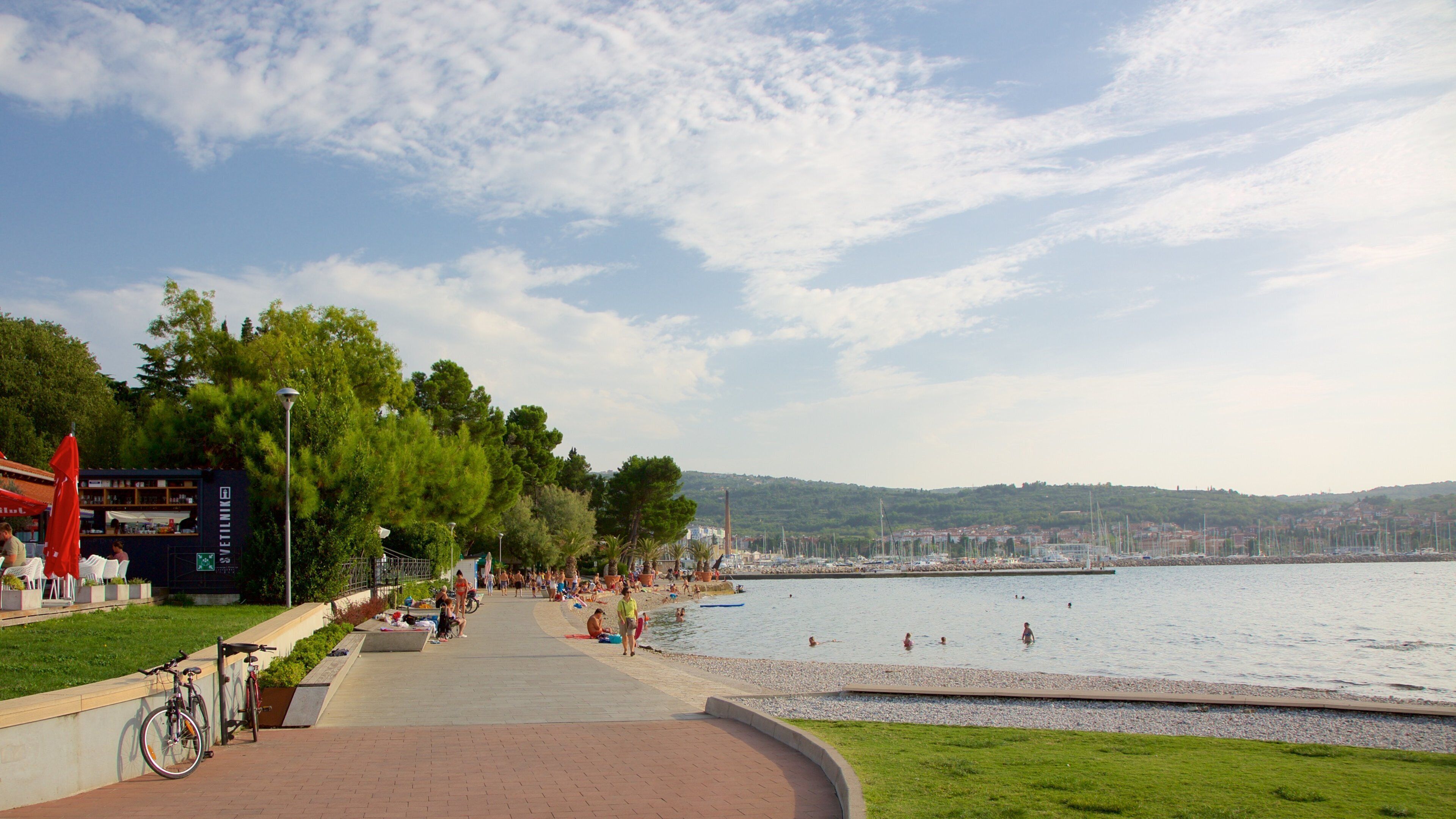 Lighthouse Park showing a coastal town, general coastal views and swimming