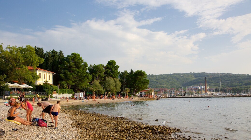 Công viên Lighthouse cho thấy bãi biển sỏi và thị trấn duyên hải cũng như nhóm nhỏ