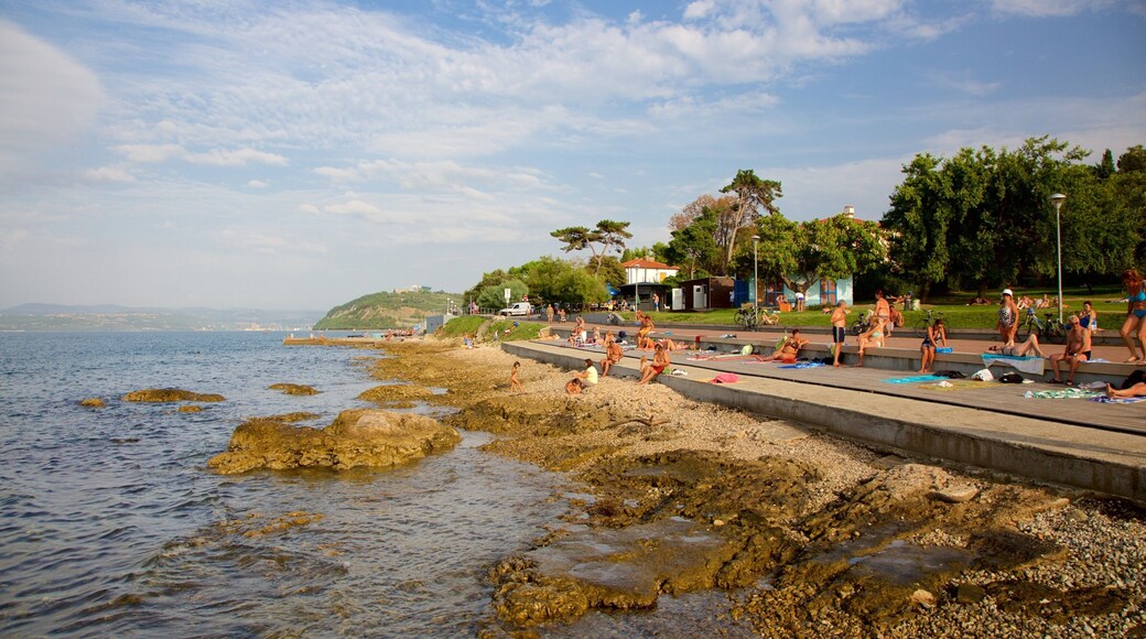 Lighthouse Park featuring rugged coastline and a coastal town