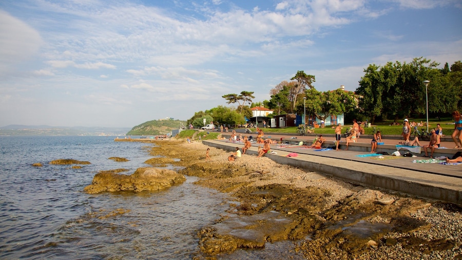 Lighthouse Park featuring rugged coastline and a coastal town