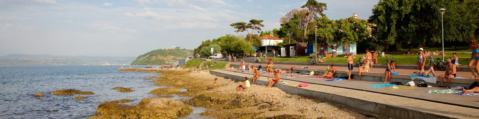 Lighthouse Park featuring rugged coastline and a coastal town