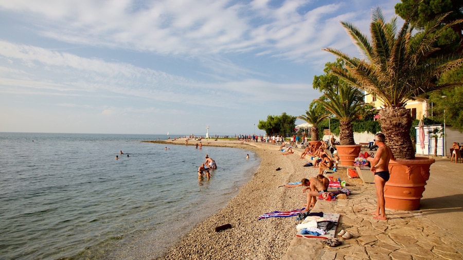 Parco del Faro caratteristiche di spiaggia di ciottoli, località costiera e nuoto
